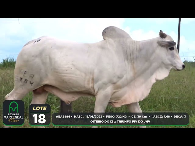 18