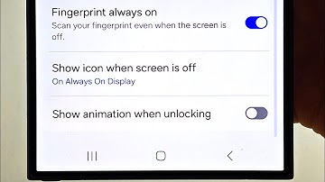 Can you change fingerprint unlock animation in S24 Ultra (no)