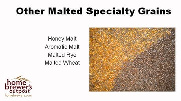 Malt Extract and Specialty Grains
