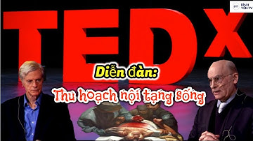 Bài Thuyết Trình TEDx Về Nạn Mổ Cướp Nội Tạng Sống Tại Trung Quốc | tin tức | bình yên tv