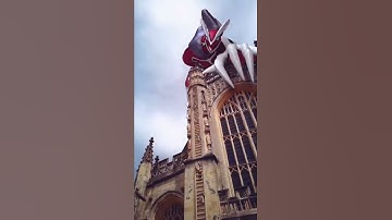 Angy boy appears! #shorts #animation #ar #pokemon #pokemongo #PokemonPets #vfx #yveltal #legendary