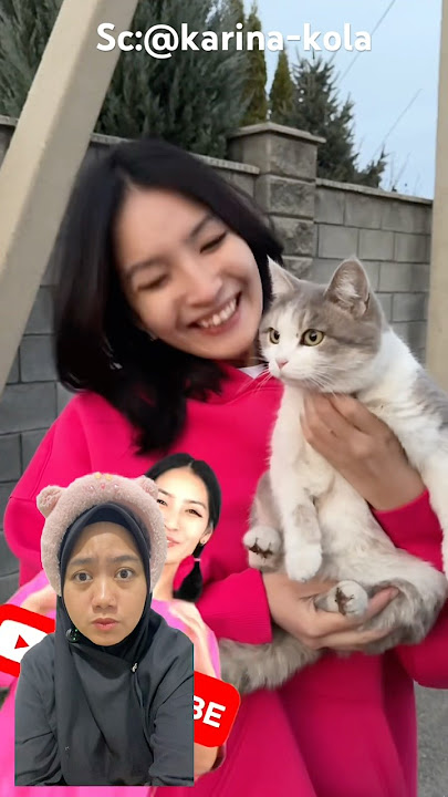 Take care of animals 🐈 ❓‼️ sc: @k@karina-kolarequest #funny #comedy