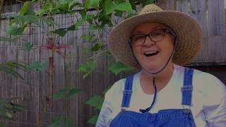 Summer Crafts Week 4 - Jack and the Beanstalk & The Giant's Castle in the Sky