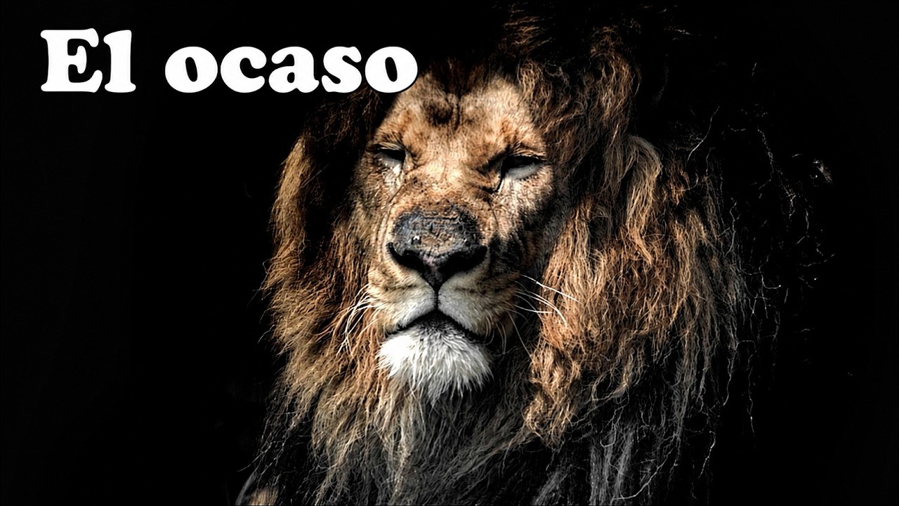 Cuando los leones envejecen