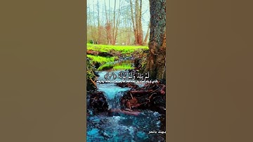 سورة الإخلاص | ياسر الدوسري #شيخ_ياسر #قرآن #اكسبلور #قراءة_القرآن_الكريم