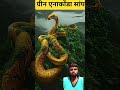 Kiya AAP ne kabhi socha hai duniya ka ❌#facts#amazonjunglekarahasya​ #amazonrainforest​ #amazonjung​