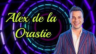 Alex de la Orastie 💥 Cu netul la tara 💥 Manele Vechi