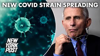 Dr. Fauci predicts new COVID-19 strain will spread across US | New York Post