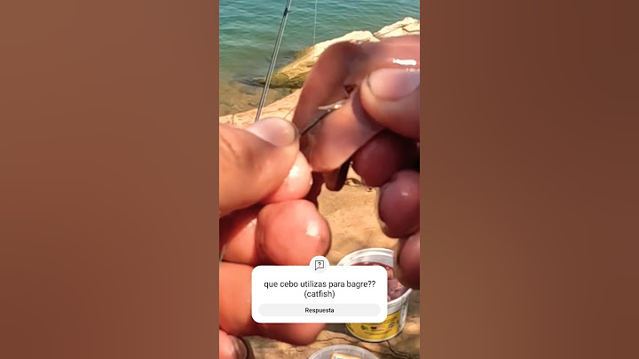 mi carnada para bagre(catfish)