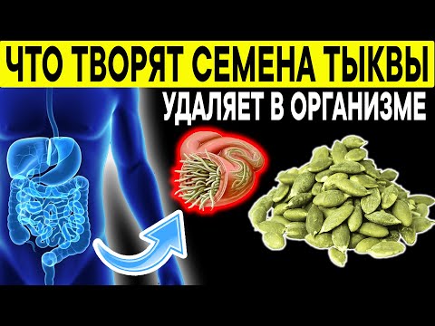 Многие Не ЗНАЮТ! Что Даже СЕМЕНА ТЫКВЫ Творят Необратимый Процесс в организме!