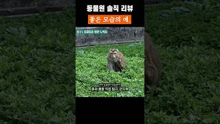 동물원 가서 기분 좋은 이유