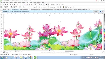 Tải File Miễn Phí Quảng Cáo In Ấn ( Mẫu File Chân Nền Hoa Cỏ - Hoa Sen ) Dùng Lắp Ghép File Chân Nền