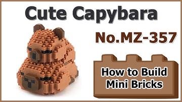 How to Build Mini Blocks Capybara MZ-357 Review Instructions Specifications