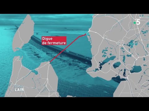 Montée des eaux aux Pays-Bas : quelles solutions ? - Reportage #cdanslair 29.08.20
