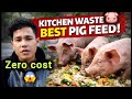 Kitchen waste se best pig feed | zero cost 🐷😱💸