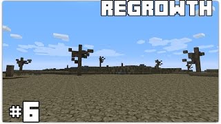 Regrowth #6 - Ore Processing