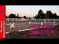 How To Make Cavaletti So Easy! How To Make Cavaletti So Easy!