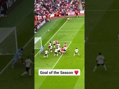 Cool View To Watch The Epic Goal From Martin Zubimendi In The Arsenal Win Over Forest