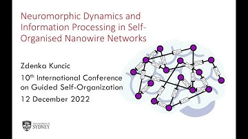 Neuromorphic dynamics and information processing in self-organised nanowire networks