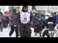 Iditarod 2016 ceremonial start  ktva 11 news