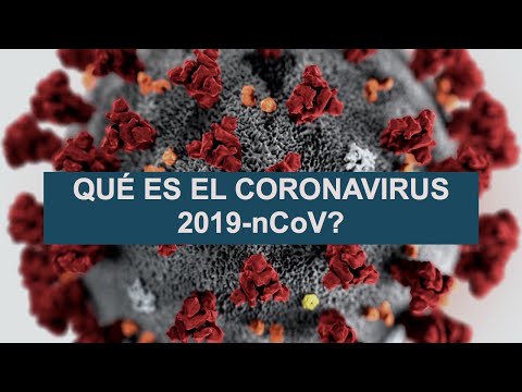 qué-es-el-coronavirus?-lo-que-sabemos-hasta-el-momento