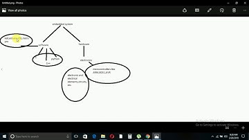 how to become an embedded developer?