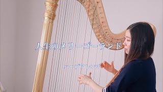 ハウルの動く城 / 人生のメリーゴーランド【藝大生がハープで演奏】Howl's moving castle / Merry Go Round of Life - Harp cover