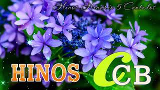 LINDOS HINOS CCB CANTADOS🌷193, 01, 118, 129, 185, 191, 220, 256, 323, 329, 349, 379,