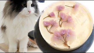 绝美樱花芝士蛋糕#春天的东京是粉色的  cherry blossom cheese cake by April 130 views 3 years ago 6 minutes, 32 seconds