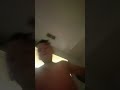 May 31 2026 