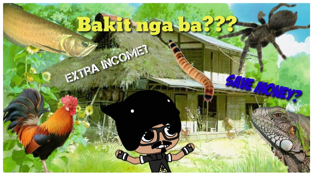 download breeding superworms download breeding superworms