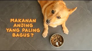#78 Makanan Anjing Yang Paling Bagus | Dogfood 101 | LUNA HAPPY FAMILY | Indonesia