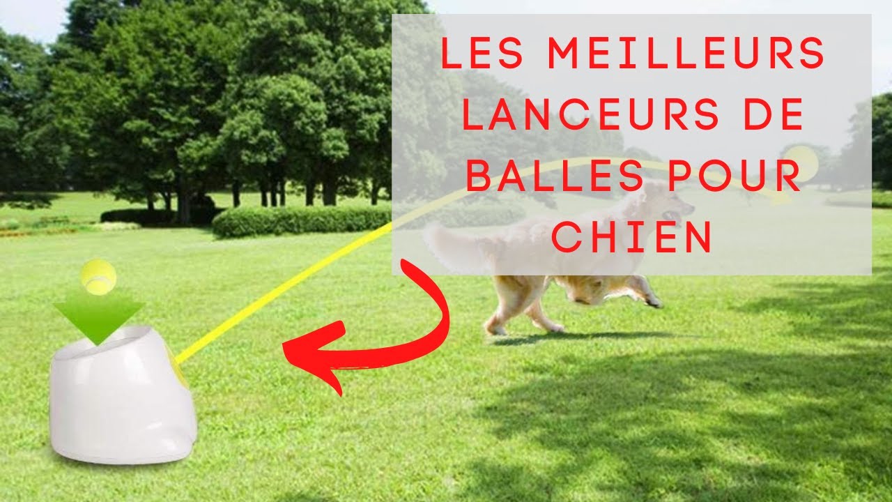 Lanceur de balle automatique pour chien : Avec 3 réglages de distance,  Jouet chien, Lanceur de balle pour chien, Lance balle chien, Lance balle  tennis – BGadgets France