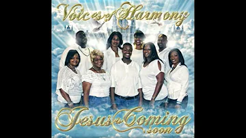 Voices of Harmony – Hallelujah (The Storm Is Passing Over)