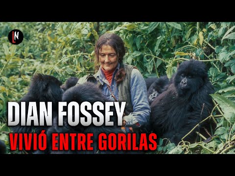 Video: Dian Fossey: foto, biografía, actividad científica