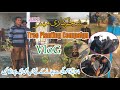 Our Villege Organization TYO Tree  Planting Compaign || شجرکاری مہم۲۰۲۲
