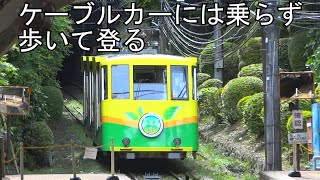 緊急事態宣言が解除されたので高尾山に行ってみたら意外と人も少なく閑散としていた