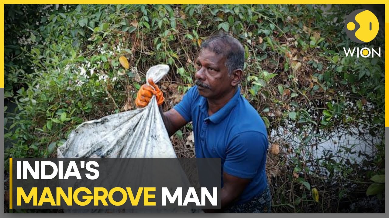 India’s Mangrove man fights to save sinking shores | WION Climate Tracker