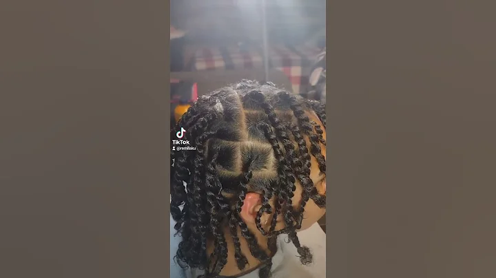 Starter Locs by way of Two Strand Twists in Tucson Arizona text 520-808-2465 text only