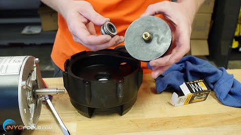 How To: Replace An Above Ground Pool Pump Motor