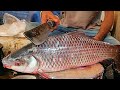 Huge Rohu Fish Skinning & Chopping By Expert Fish Cutter | Fish Cutting skills