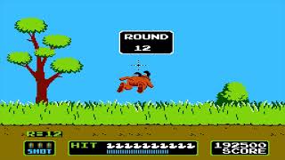 Duck Hunt