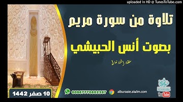 تلاوة من سورة مريم بصوت الأخ الفاضل أنس الحبيشي حفظه الله تعالى