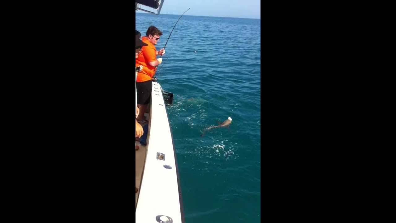 Far Out Cobia Fishing
