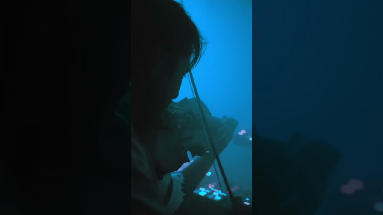 Tornasol 66 Dj Violinist @tornasol66