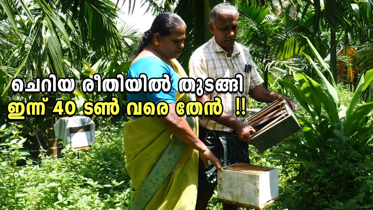 കഷ്ടപ്പാടിൽ നിന്ന് തേനൂറും വിജയം നേടിയ ദമ്പതികൾ | Matha Honey and Bee Farm ,Kasaragod Kerala