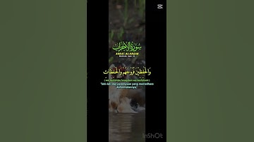 تلاوة خاشعة جدا لي الشيخ محمد الفقيه سورة الأحزاب مكتوب بي صوت هادئ و راحة نفسية #allah #quran