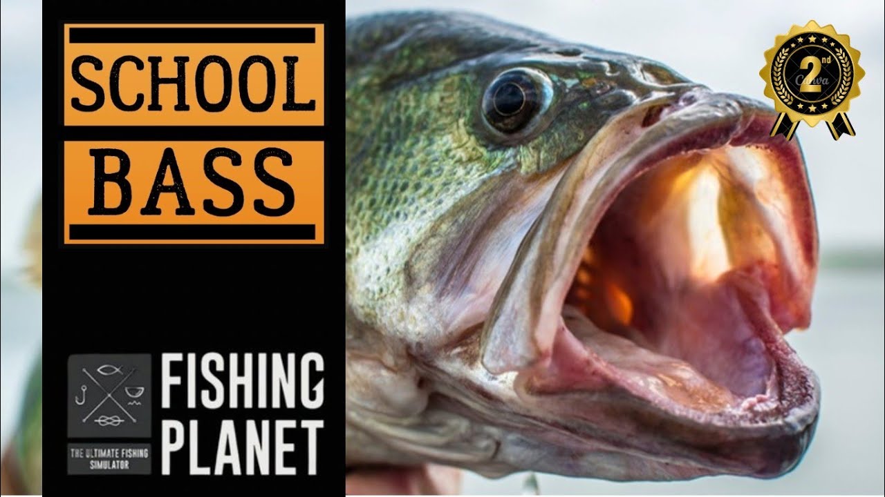 School Bass – Fishing Planet 2nd Place (Mudwater River)