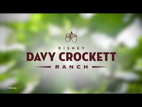DISNEY DAVY CROCKETT RANCH - DISNEY DAVY CROCKETT RANCH
