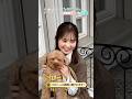 櫻坂46・遠藤理子さんと愛犬コロンくんが遊びにきてくれました!(トイプードル|月刊わんこ撮影オフショット)